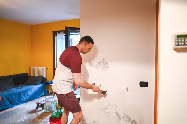 Best Local Mold Removal Service  in East Freehold, NJ